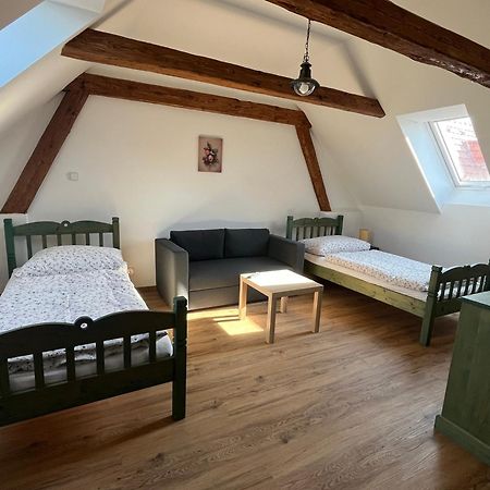 Apartmany Statek Bezdedice Hostomice المظهر الخارجي الصورة