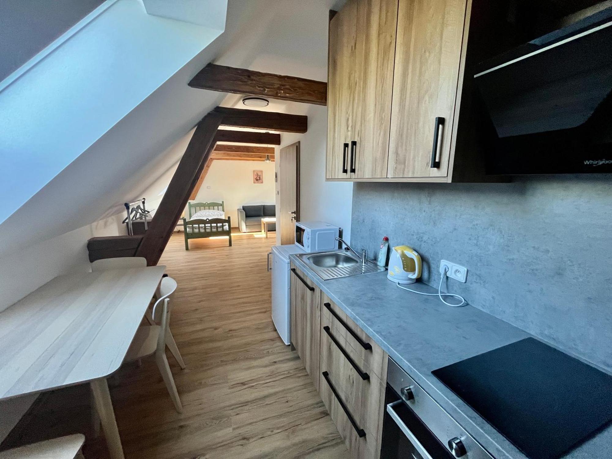 Apartmany Statek Bezdedice Hostomice المظهر الخارجي الصورة